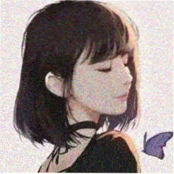 次元观测者